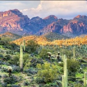 Meet your Posher, Izzy